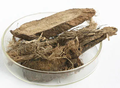 Supply Kudzu Extract for Functional Food