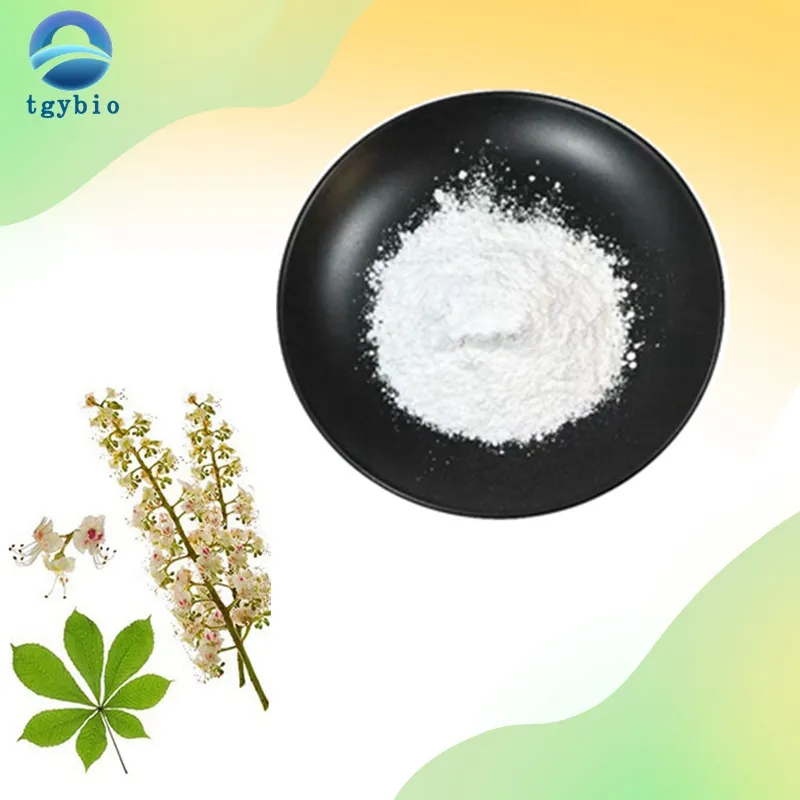 Supply Natural Horse Chestnut Extract 98% Aesculin/Esculin Powder
