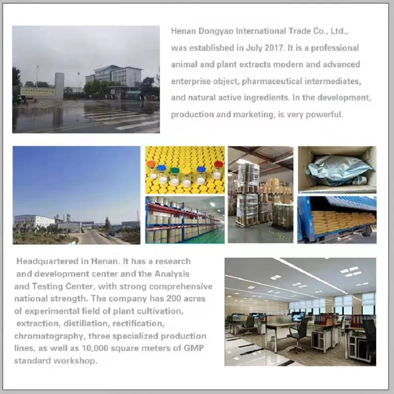 Supply Natural Stephania Extract 98% Rotundine Luotongding CAS No 10097-84-4fob Refe