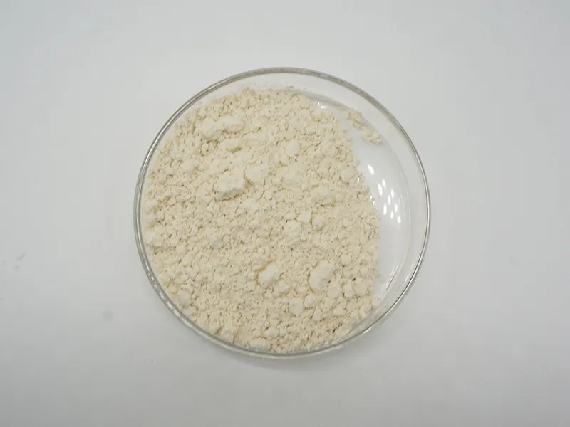 Tangerine Peel Extract Citrus Aurantium Extract Hesperidin Powder