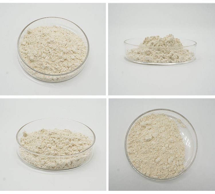 Tangerine Peel Extract Citrus Aurantium Extract Hesperidin Powder
