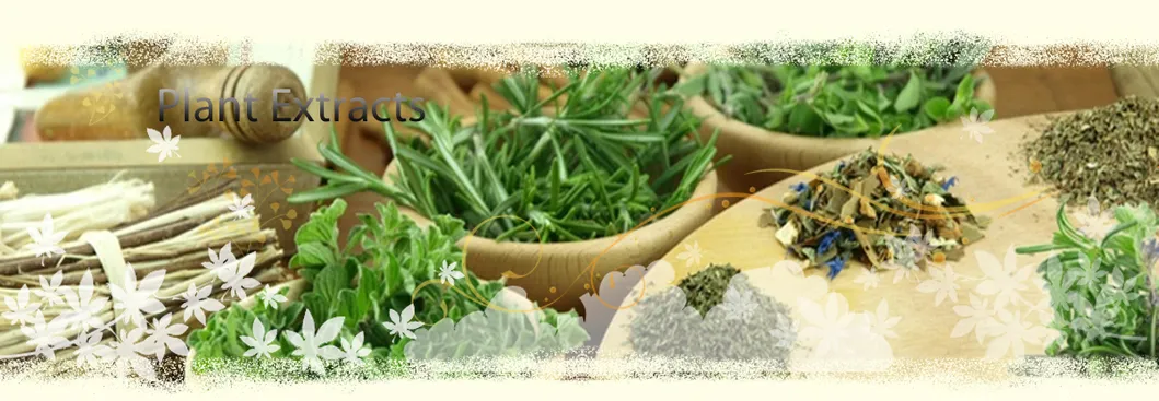 The Factory Supplies Natural Tongkat Ali + Fadogia Agrestis Capsules for Add Libido