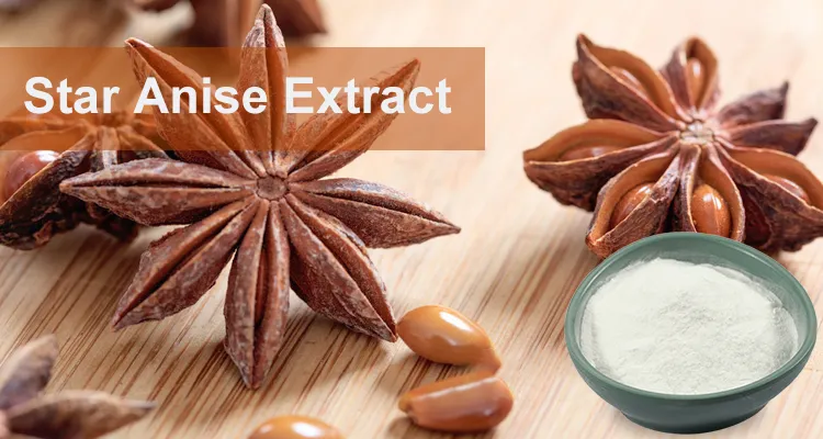 Top Quality Evodiamine & Star Aniseed Extract 10: 1 Powder