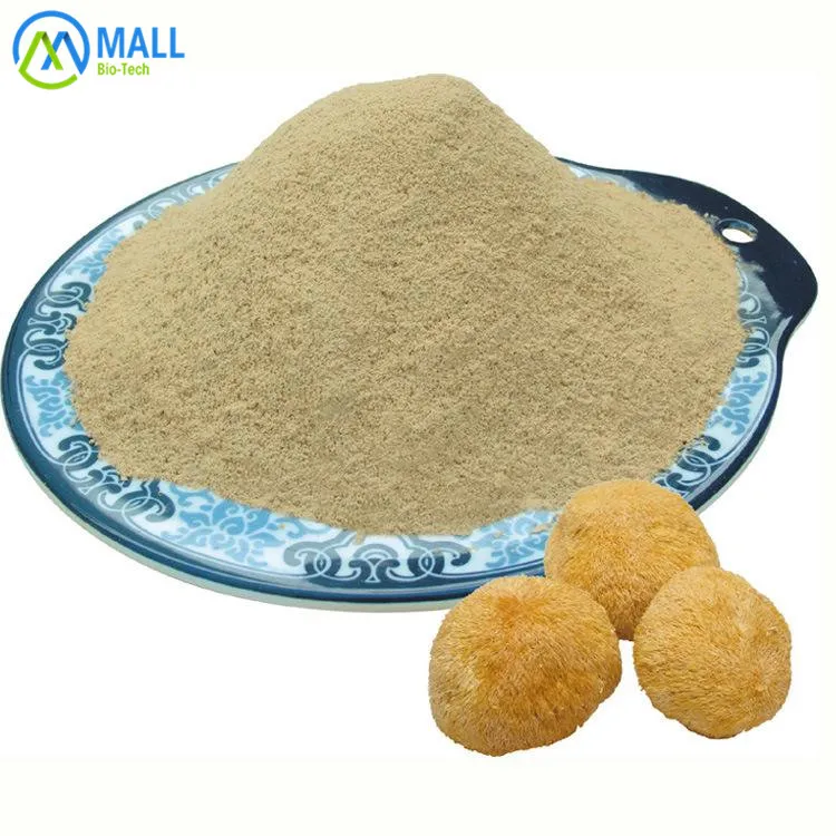 Top Quality Organic Natural Powder Lion′s Mane Mushroom Extract