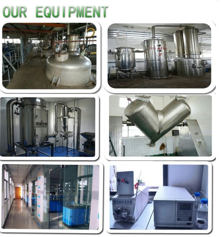 Top Sale High Quality 10%-99% 5-Htp Griffonia Simplicifolia Extract