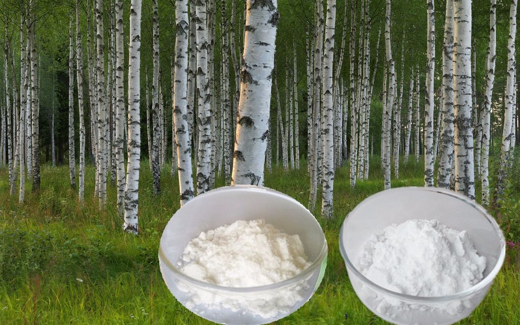 Treating Several Forms of Herpes and Even Aids of Birch Bark Powder Extract