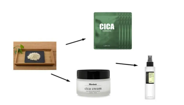 Triterpenoid Glycosides Powder Hydrocotyle Asiatica Extract/Centella Asiatica Extract /Gotu Kola Extract Centella Asiatica