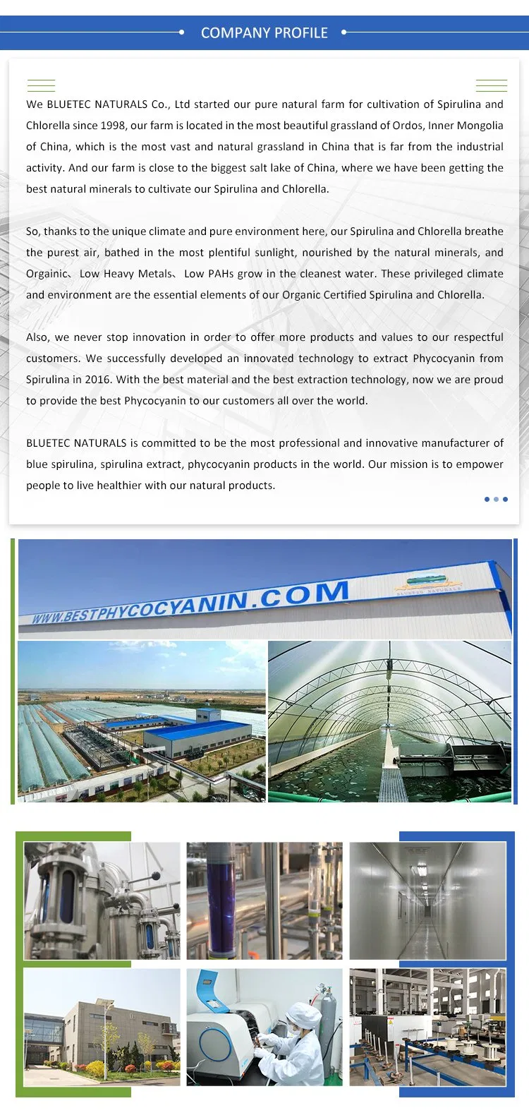 Turmeric Premium Quality Ceylon Natural Turmeric Powder High Quality Turmeric Powder