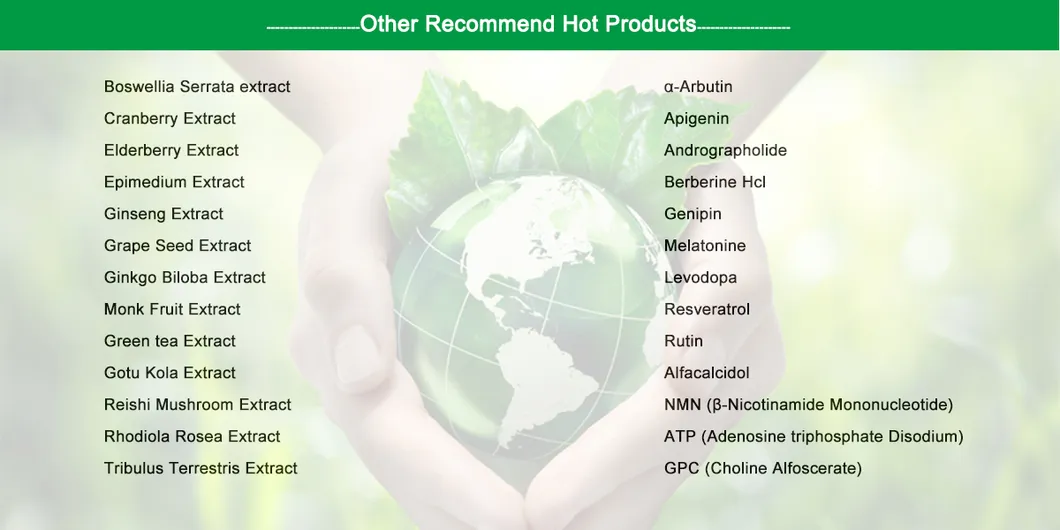 Uspep Nutraceutical Plant Herbal Extract Powder Ginkgo Biloba Leaf Extract