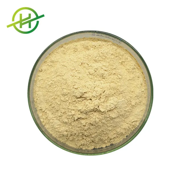 Weight Loss Garcinia Cambogia Extract Hca Powder Softgel Capsule