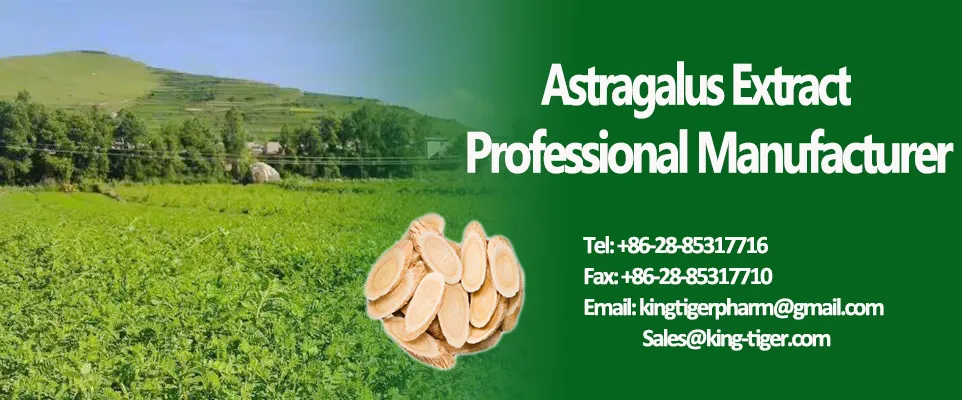 Welcome to Order Astragaloside IV 10% + Cycloastragalol 1.6%