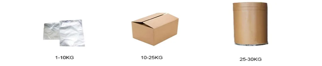 Wholesale Mushroom Tincture Nature Mushroom Powder Organic Mushroom Powder