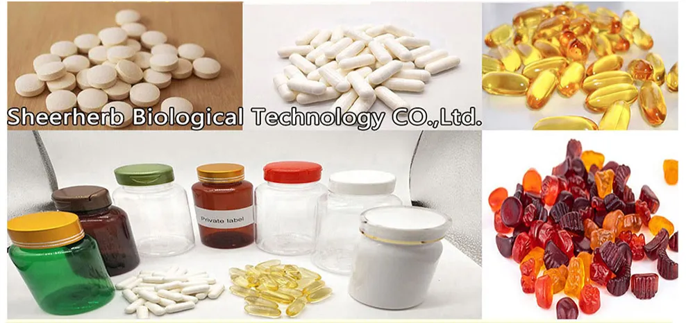 Wholesale Mushroom Tincture Nature Mushroom Powder Organic Mushroom Powder