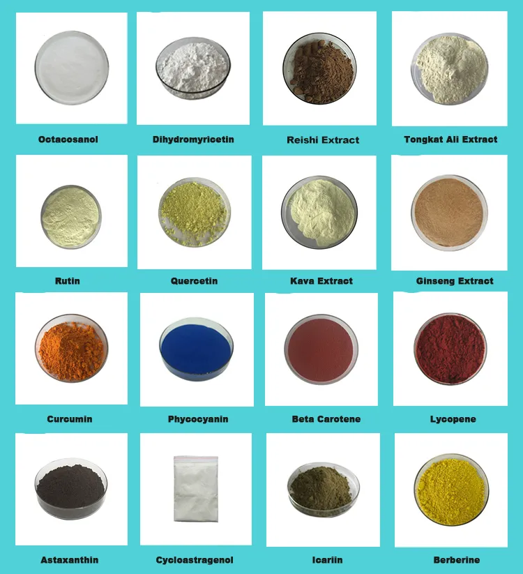 Wholesale Mushroom Tincture Nature Mushroom Powder Organic Mushroom Powder