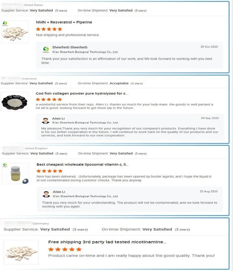 Wholesale Mushroom Tincture Nature Mushroom Powder Organic Mushroom Powder