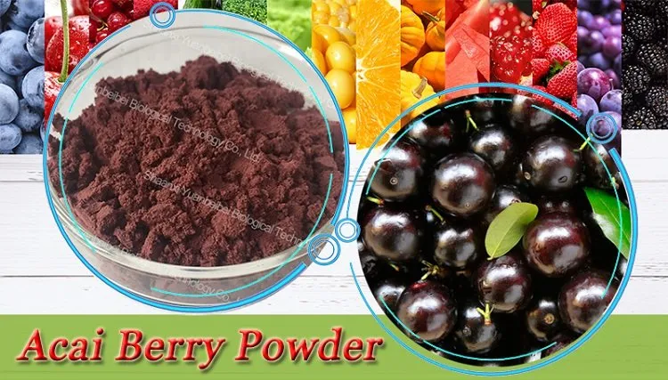 Wholesale Price 100% Organic 30: 1 Acai Berry Powder