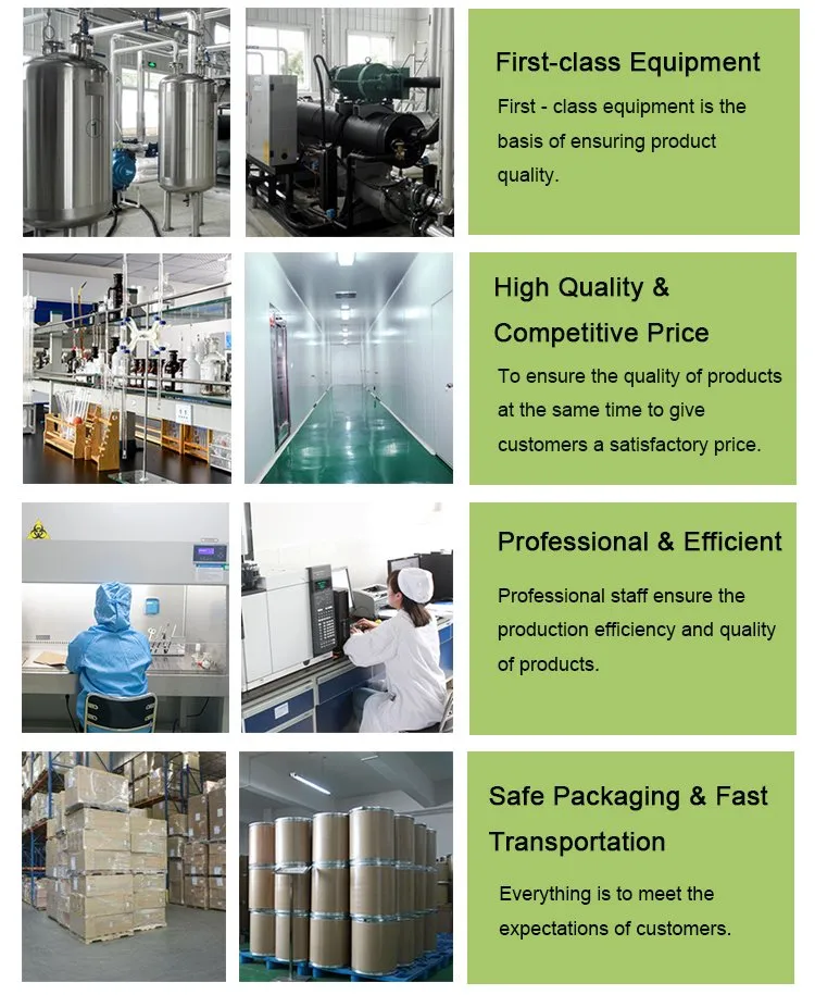 Wholesale Price 100% Organic 30: 1 Acai Berry Powder