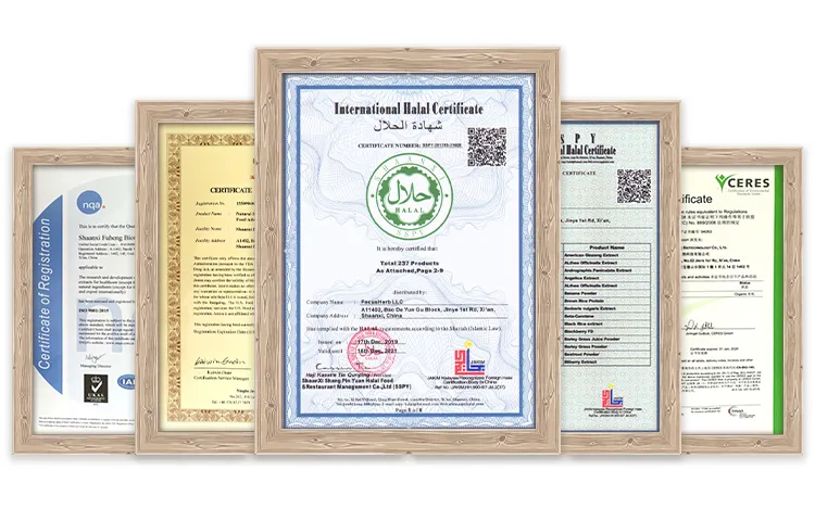 Wholesale Top Quality Alpha Lipoic Acid Powder Tablets for Antioxidant