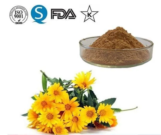 Wild Chrysanthemum Extract, Chrysanthemum Extract Pyrethrum, Chrysanthemum Parthenium Manufacturers