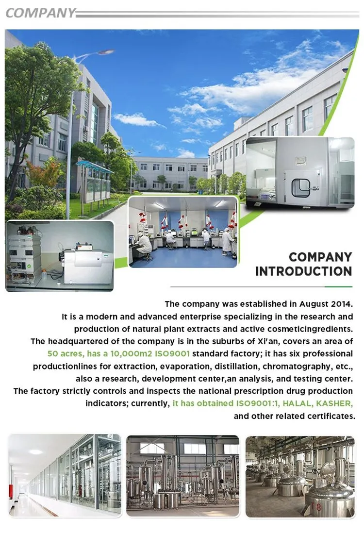 Ytbio Supply Natural Aniseed Extract