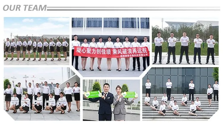 Ytbio Supply Natural Aniseed Extract