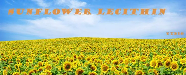 Yuantai Supply Sunflower Lecithin Powder