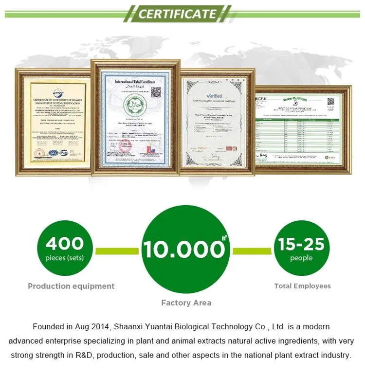 Yuantai Supply Sunflower Lecithin Powder